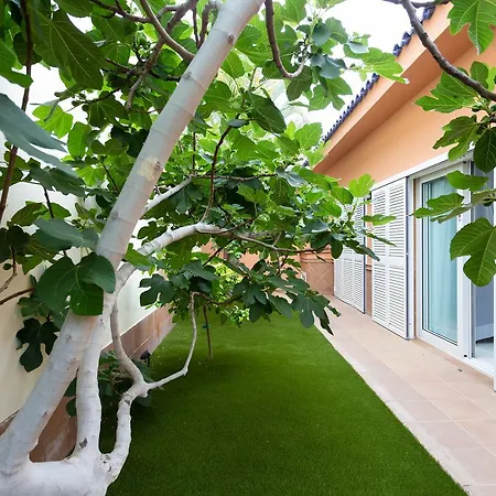 Maravillosa De Lujo Con Piscina Privada Vila *